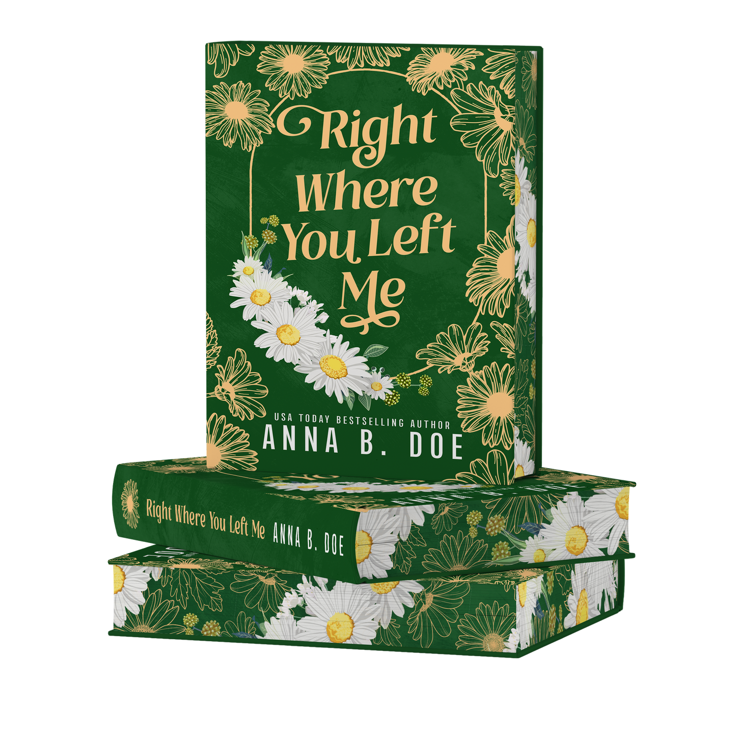 Right Where You Left Me HARDBACK Special Edition