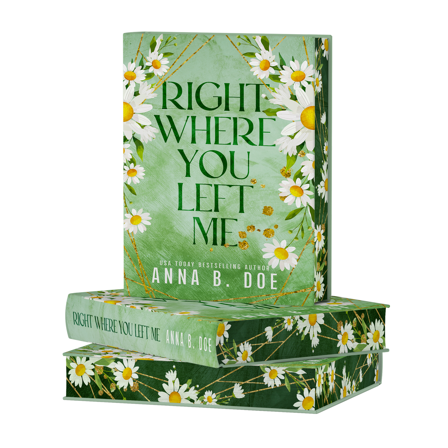 Right Where You Left Me PAPERBACK Special Edition
